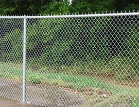 What are the fields used to decorate the chain link fence?cid=3