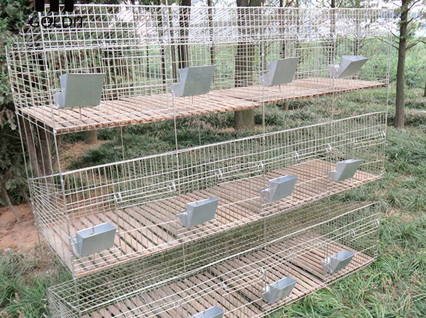 Rabbit Cages