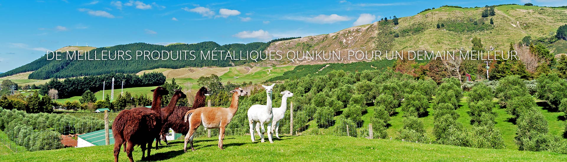 Qunkun Metal Product Co., Ltd.